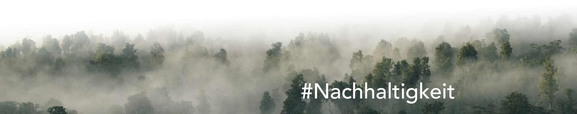 Wald mit Nebel und dem Text Nachhaltigkeit